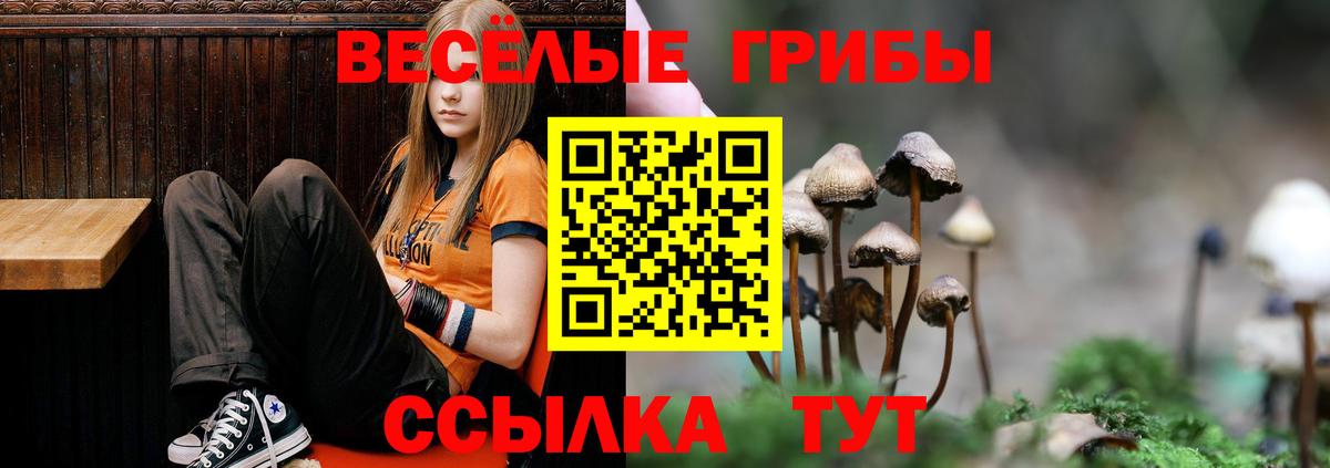 Железногорск  закладки  Вход с VPN  Псилоцибиновые грибы Magic Shrooms 