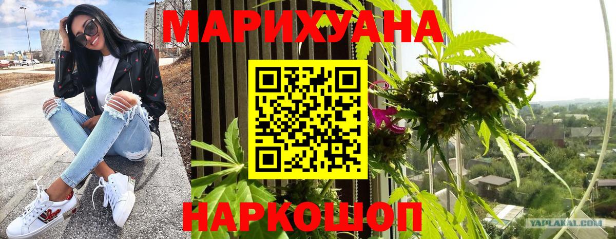 Железногорск  Бошки Шишки план  Вход с VPN  Конопля индика 